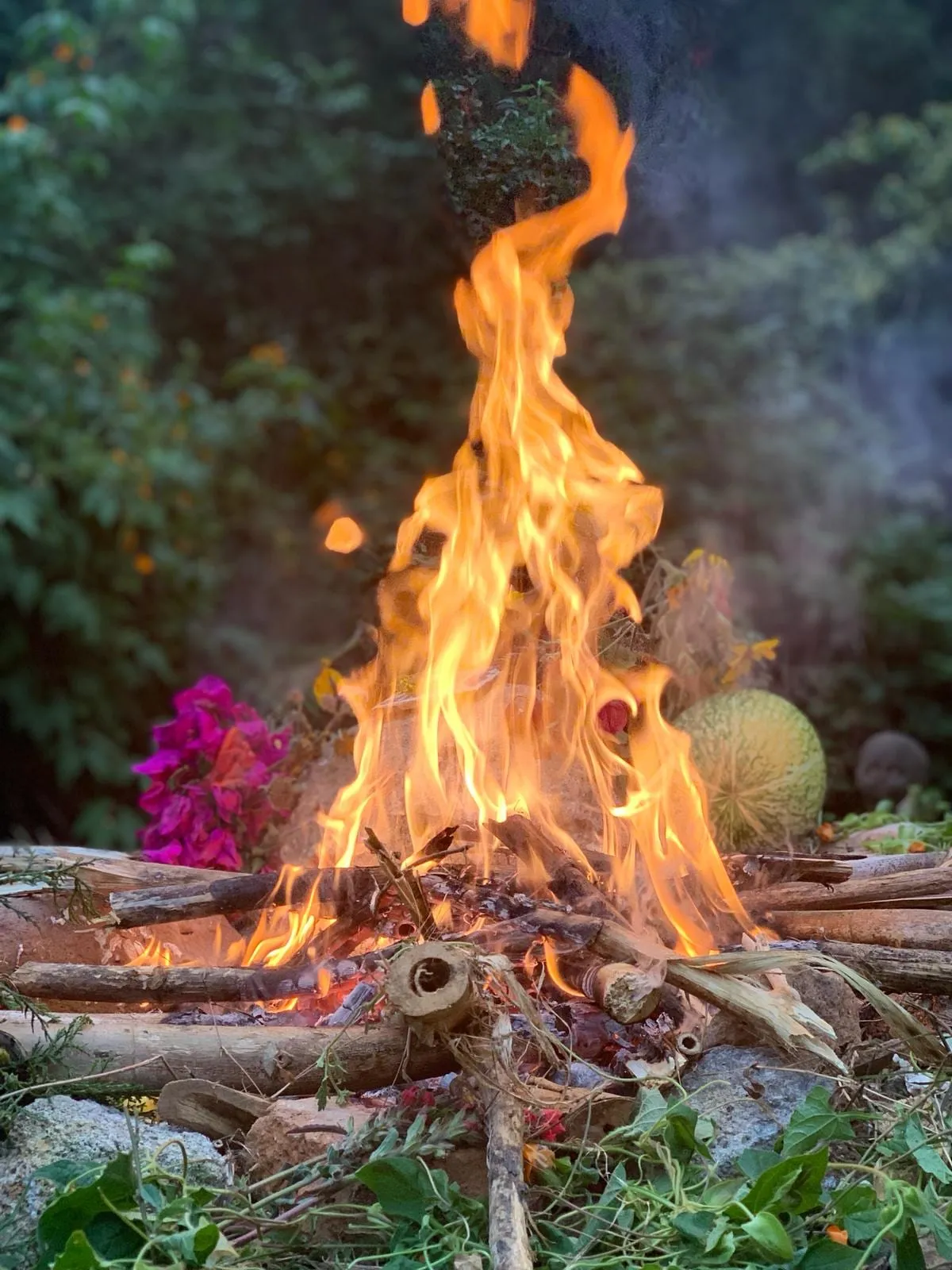 A ceremonial fire burning low in a ring of wood, with bougainvillea, herbs and a melon left beside it.